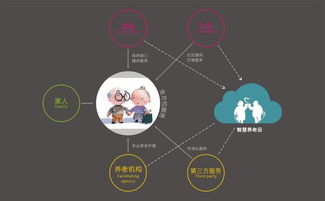 天下孝子 智慧養老 信息系統集成服務的方興未艾