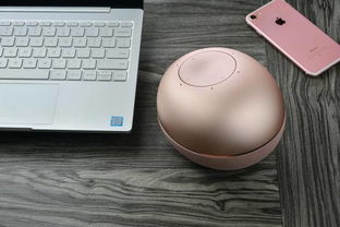 可聯合控制智能設備，智能家居新中樞 若琪·月石智能語音助手深度體驗測評