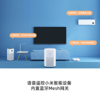 誰(shuí)才是真正的便攜智能之選？小米小愛(ài)音箱Play對(duì)陣蘇寧宜品MS-850深度評(píng)測(cè)